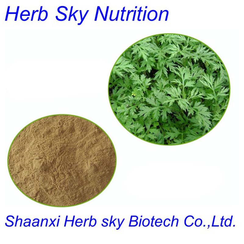 Folium Artemisiae Argyi Extract powder /Wormwood Leaf Extract/Artemisia Princeps Leaf Extract 300g/lot