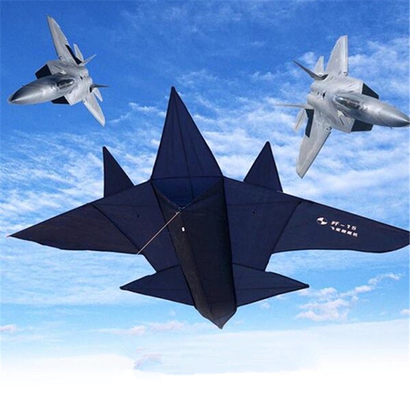 2020 Wholesale Outdoor Fun Sports Black Fighter Kite Plane Kite Good
