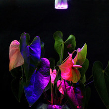 1PCS 10W E27 LED Grow Light Full spectrum LED Grow lights 10W E27 LED Grow lamp