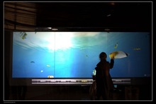 32 inches multi Interactive Touch Foil, transparent 10 points Projective Capacitive Touch Foil film