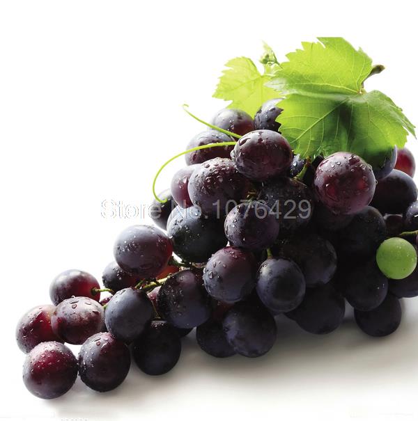 50 Mixed Grape Seeds Vitis Vinifera Vine Delicious Fresh Fruit Organic S019 