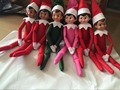 60pcsThe Elf on the Shelf 30pcs Soft Books 30pcs Elf Dolls Plush Dolls Boy Girl Figure