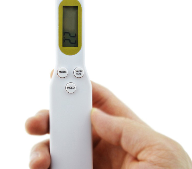 Host weigh NS-S3 LCD Kitchen Digital Scale Measuring Spoon 500g Capacity Coffee Tea Weighing Device Household Supplies