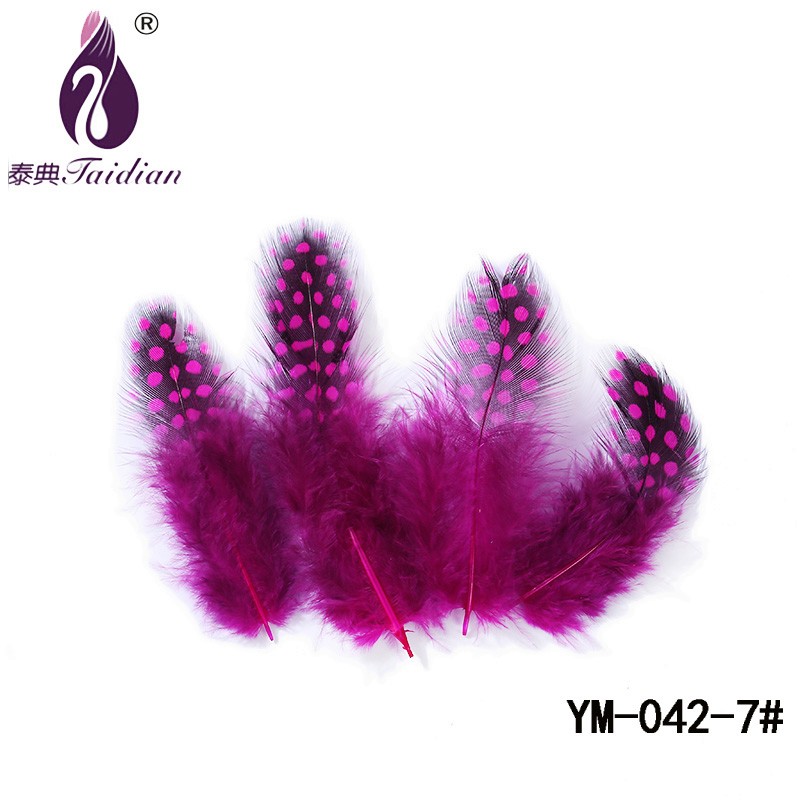 YM-042-7# Guinea pearl Fowl Feather