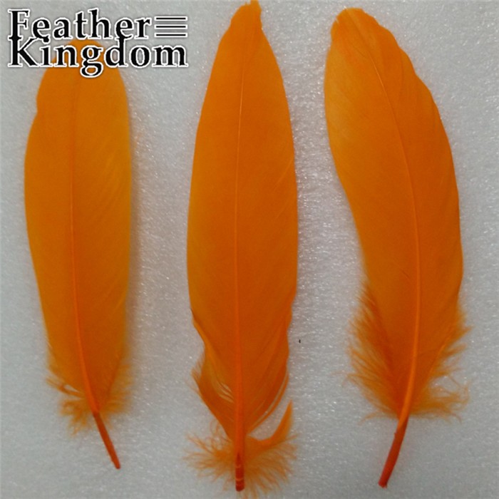 orange goose feather
