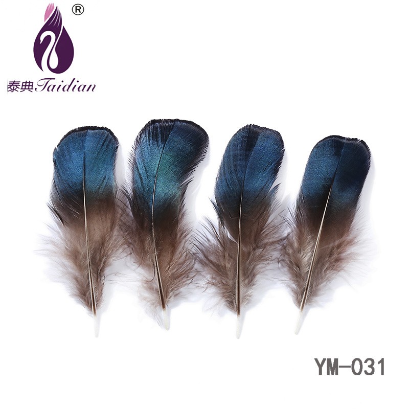YM-031 Natural Feather