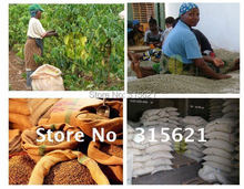 Free Shipping 500g Tanzania Green Raw Arabica Coffee Beans