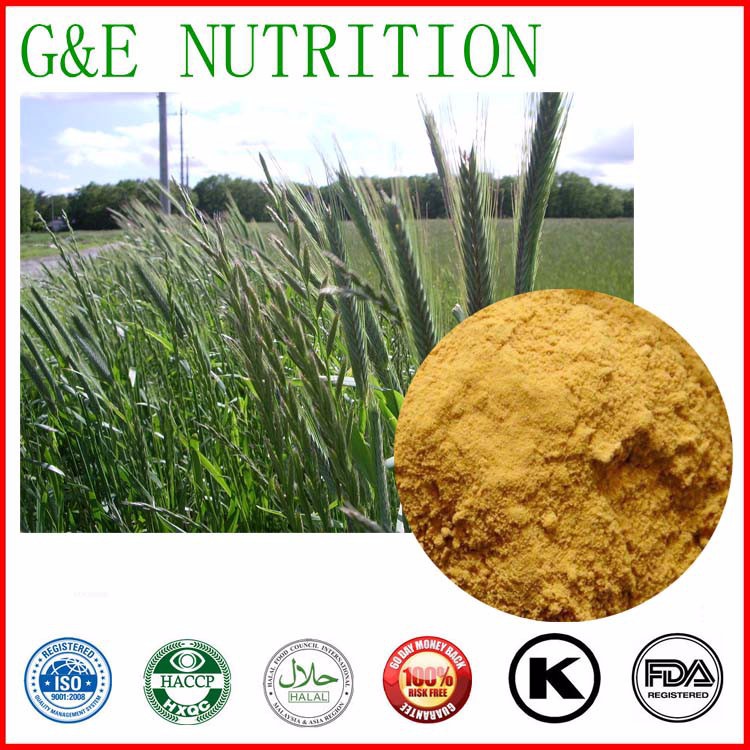 pure oat straw extract/oat grass extract powder/oat extract 1000g