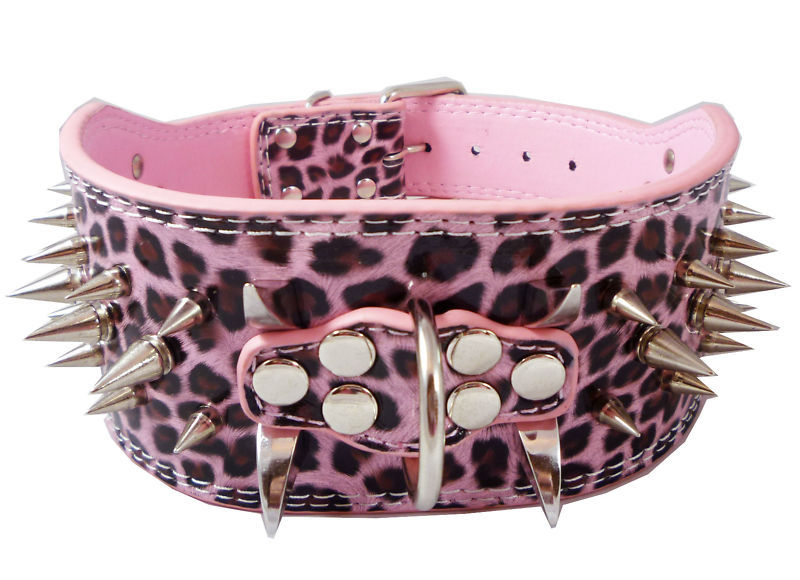 Cheap spiked dog collars for pitbulls, how to train puppy not to bark