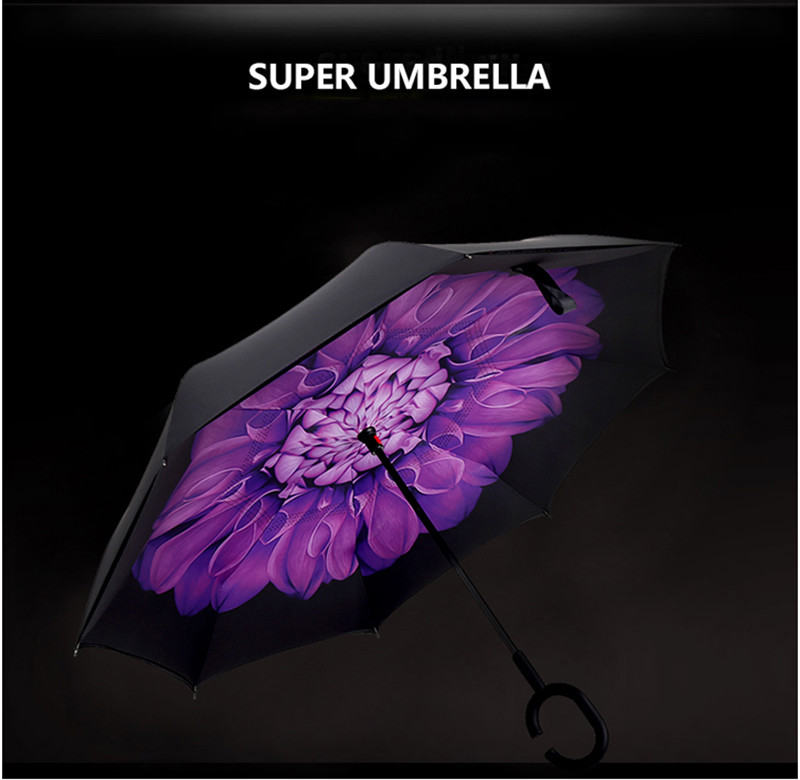 umbrella (6)