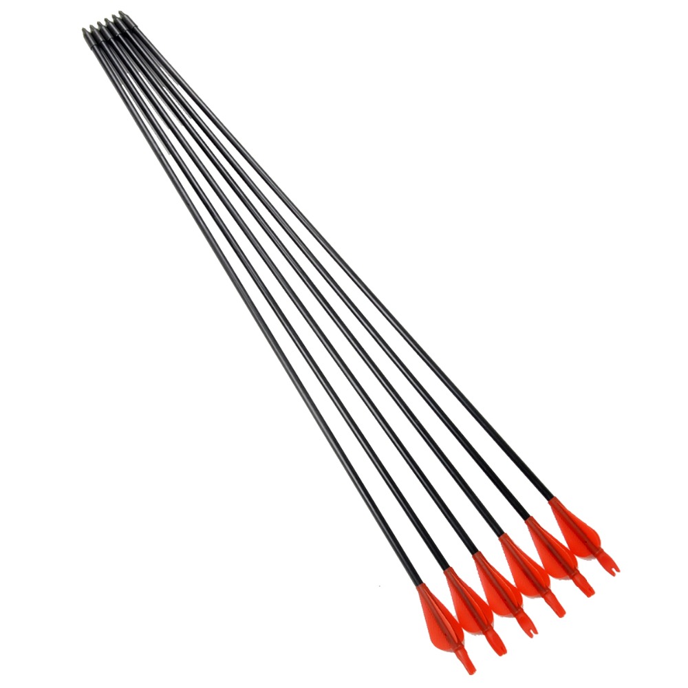 Free shipping 6PCS Archery Compound Bow Arrow Pracise Fiberglass Arrow 31 inch Length with Plastic Arrow