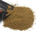 300Pcs Hot Sell Tropical Goldfish Feed Freshwater Fish Food Spirulina High Protein Start Floating Feed Automatic