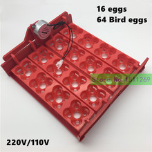 Quail Incubator 16 eggs 64 birds eggs AutomaticTurn eggs tray Hand Incubator Accessories Laboratory incubators