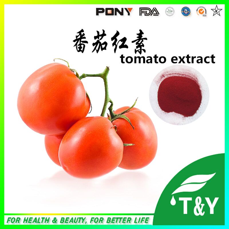 Tomato extract,tomato extract lycopene,lycopersicon esculentum mill 1000g/lot