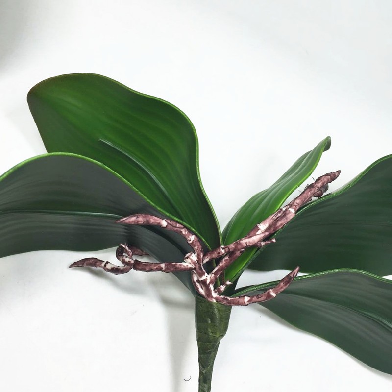 decoration flower orchid leaves (5)