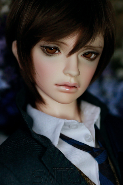 bjd switch