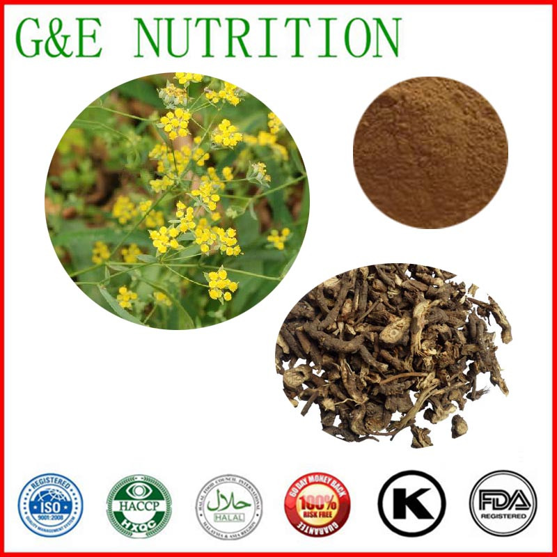 TOP Quality Bupleurum Extract Powder Chinese Thorowax Root Extraction   10:1   600g