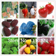 Vegetables and fruit seeds Strawberry seeds 100 pieces seeds of each color seeds grain Bonsai plants Seeds for home & garden