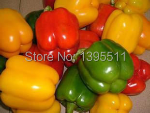 100 rainbow sweet pepper Seeds send 200 rainbow carrot seeds as gift vegetable Seeds For Home