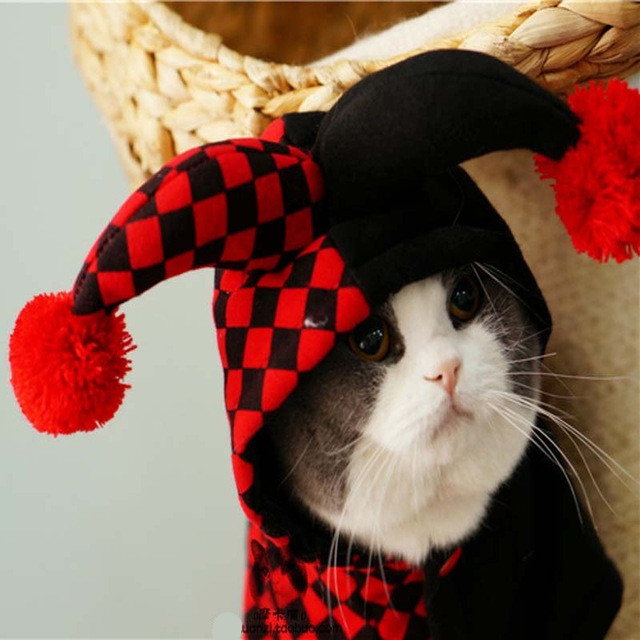Праздничная pet собаки кошки Хэллоуин костюмы зимняя одежда для кошек pet одежда комбинезон пижамы клоун стиль ropa пункт moscotas 05 Праздничная pet собаки кошки Хэллоуин костюмы зимняя одежда для кошек pet одежда комбинезон пижамы клоун стиль ropa пункт moscotas 05