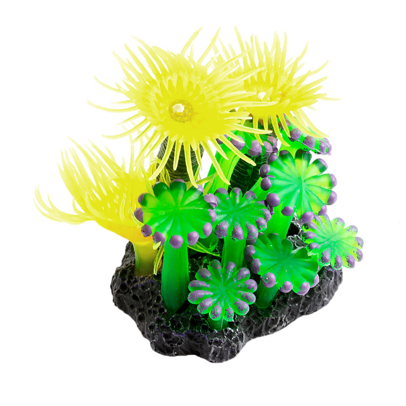 Popular Sea Urchin DecorationBuy Cheap Sea Urchin Decoration lots from
