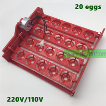 20 egg incubator Turn eggs tray Eggtester 48 eggs Automatic Incubator Controller Experimental Teaching Equipment