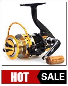 5566516_112445023388_2_07