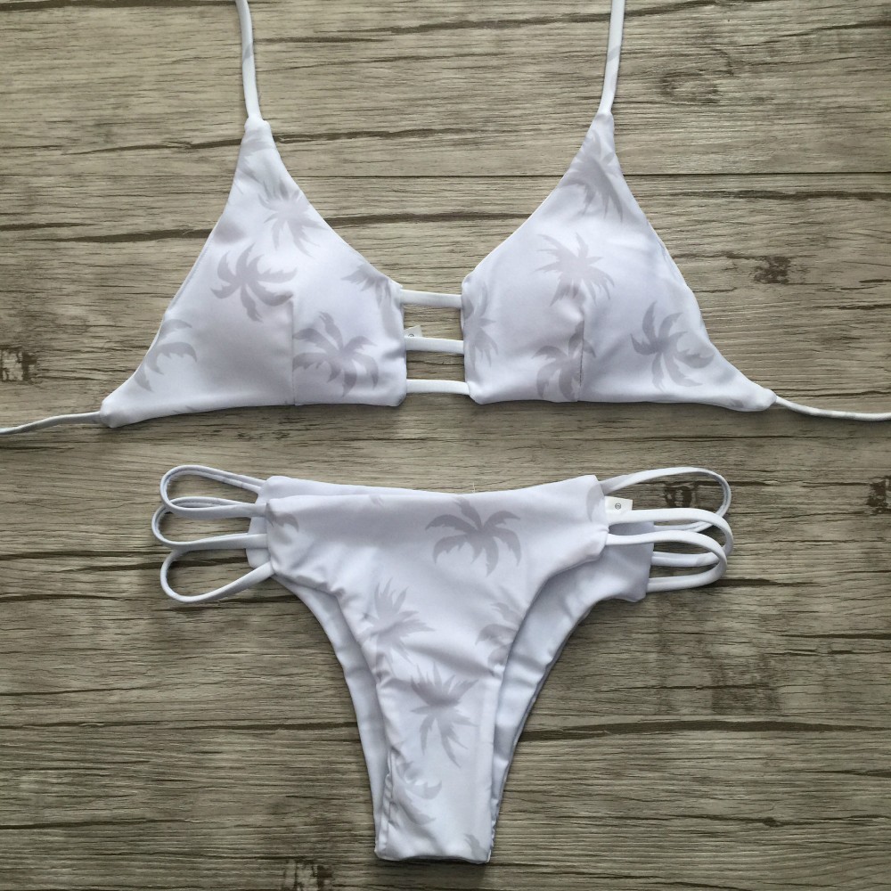 2911377138_1920530084