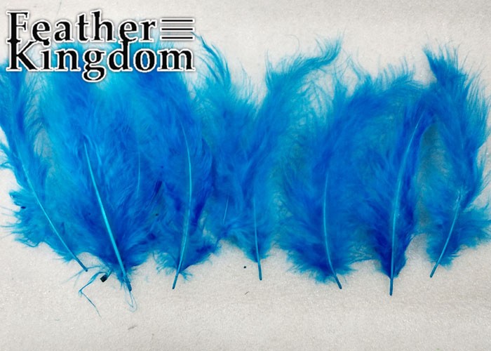 turquoise Turkey feather