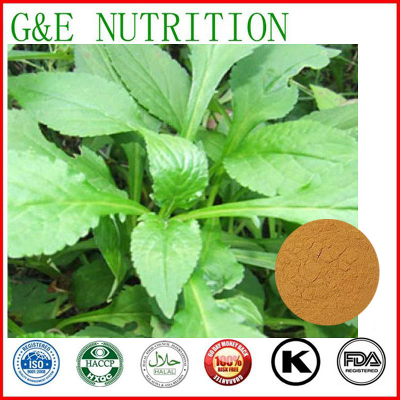 1000g Patrinia/ Dahurian Patrinia Herb Extract with free shipping