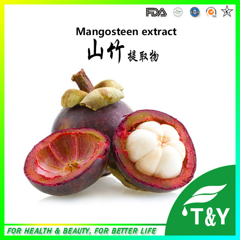 Mangosteen P.E/mangosteen fruit powder/Mangosteen extract 700g/lot