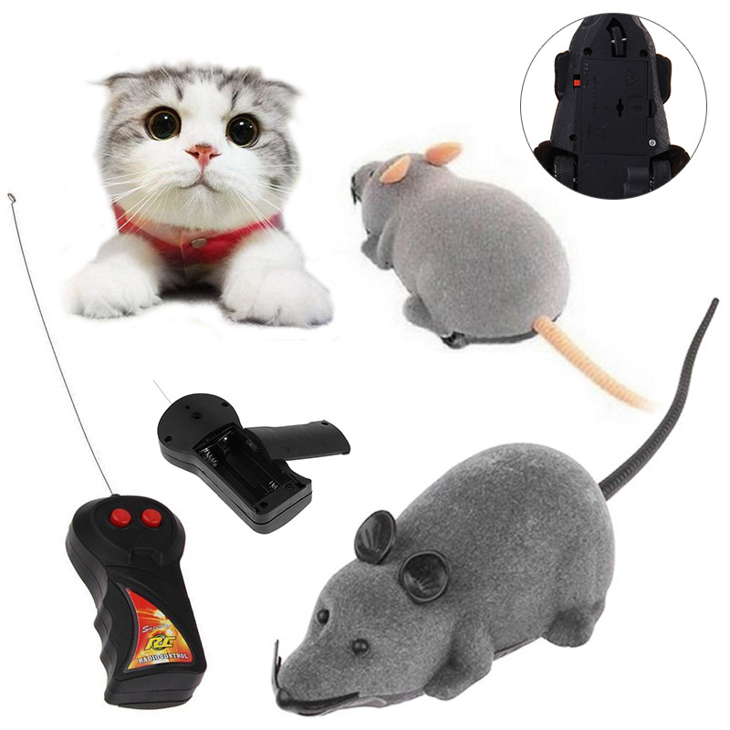 outdoor cat toys