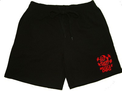 gym shark shorts summer style shorts (2)