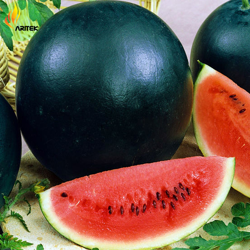 Improved Black Skin Red Watermelon Hybrid Seeds, Professional Pack, 20 Seeds, 13% sugar contained E3494