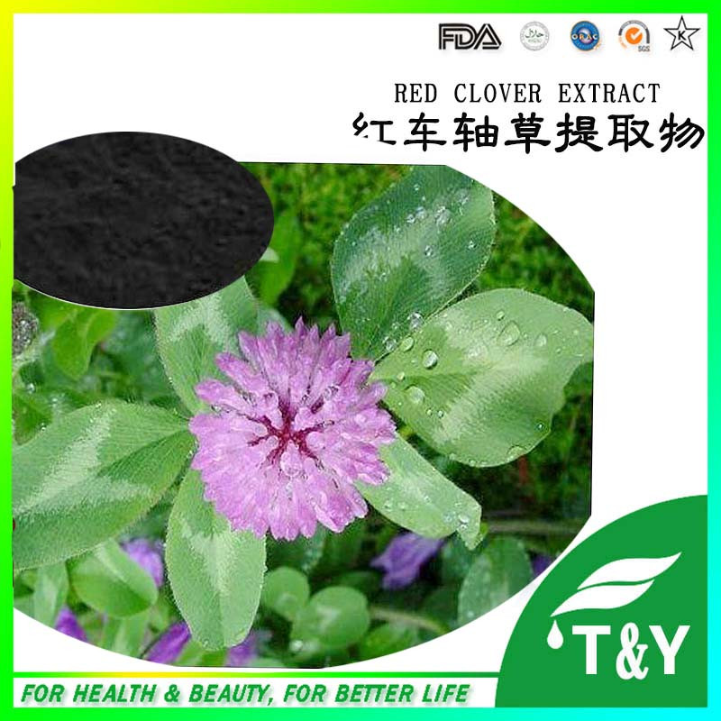 Factory Hot Sell 100% Natural Red Clover Extract Powder Biochanin A Red Clover Extract