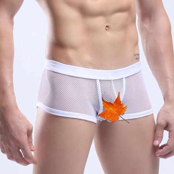 Gay Male See Thru Underwear 26