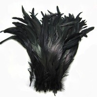black rooster feathers