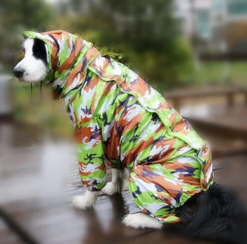 Новый плащ собака pet Одежда водонепроницаемая одежда собак одежда Толстовки для животных летом и весной ПЭТ сиамские плащи ноги Новый плащ собака pet Одежда водонепроницаемая одежда собак одежда Толстовки для животных летом и весной ПЭТ сиамские плащи ноги