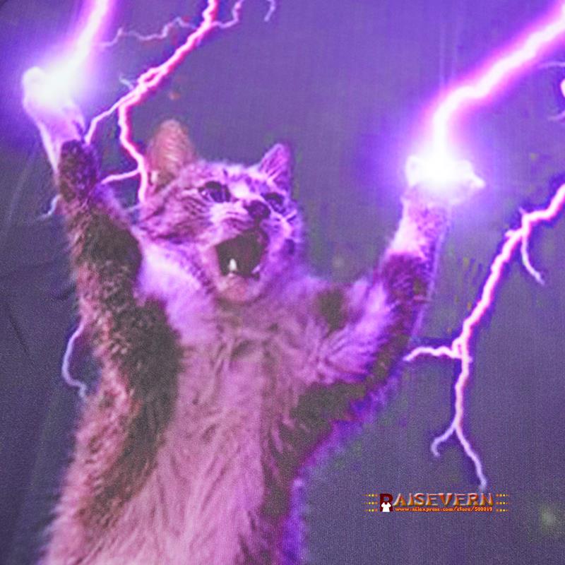 Raisevern   cat  3d  thundercat         