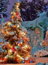 christmas hintergrund Christmas tree snow 5x7ft(1.5×2.2m) photo studio background backdrop ZJ