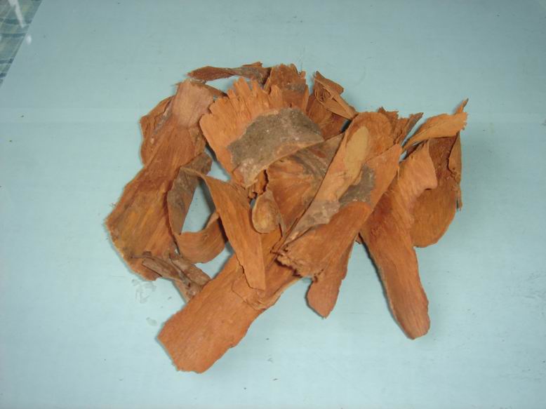 1kg 10:1 natural Extract Yohimbine extract Yohimbine bark extract powder