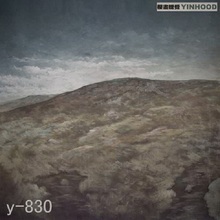 Mysterious scenic Backdrop Y830,10ft x20ft Hand Painted Photography Background,estudio fotografico,backgrounds for photo studio