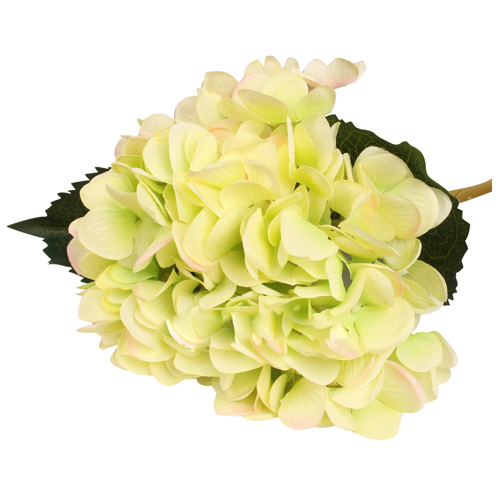 Hoge kwaliteit groothandel hortensia groene bloemen van chinese ...