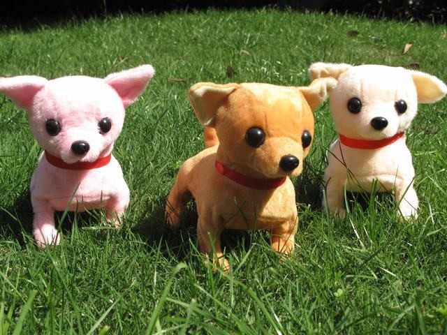 barking chihuahua toy