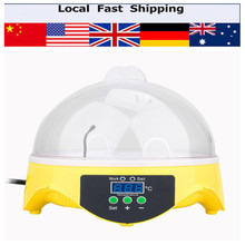7 Eggs Capacity Chicken Incubator Tool Kit