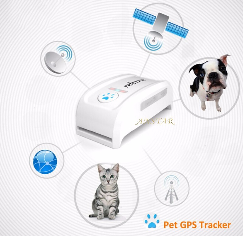 Pet gps tracker-1