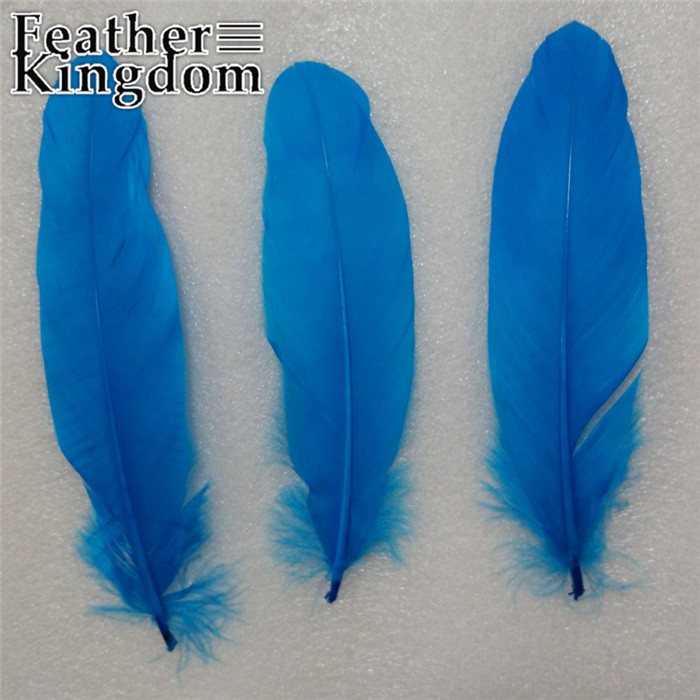 turquoise goose feather