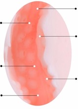 HTB1RSO6KXXXXXbhXFXXq6xXFXXXv