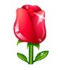 HTB1RWJlLpXXXXa9aXXXq6xXFXXXl