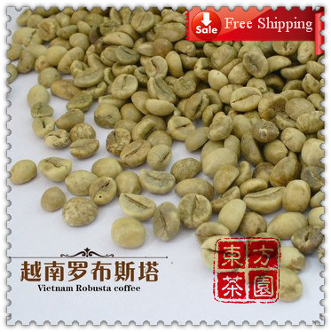 Hot Sale 500g 18 Mesh Top Level Vietnam Coffee Beans Robusta Raw Coffee Bean DIY Own